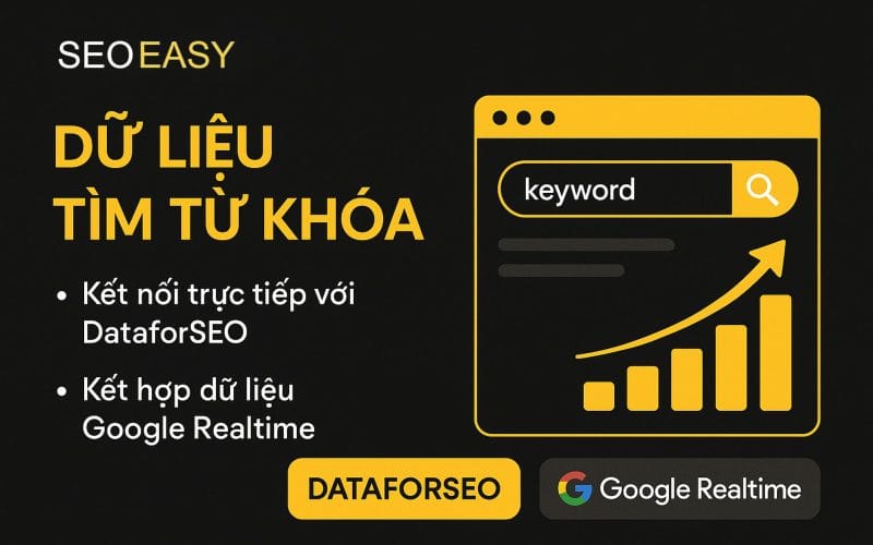 SEO EASY tích hợp DataforSEO và Google cung cấp cho bạn kho dữ liệu tìm kiếm từ khoá khổng lồ 